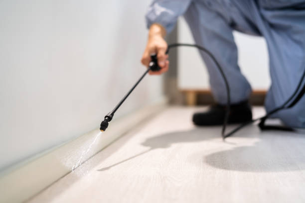 Licensed Mosquito Control service in Cassville, WV - Show Me Pest Control