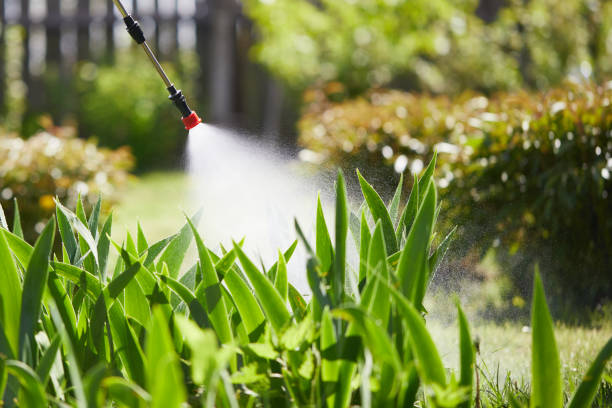 24/7 Emergency Mosquito Control experts in Cassville, WV